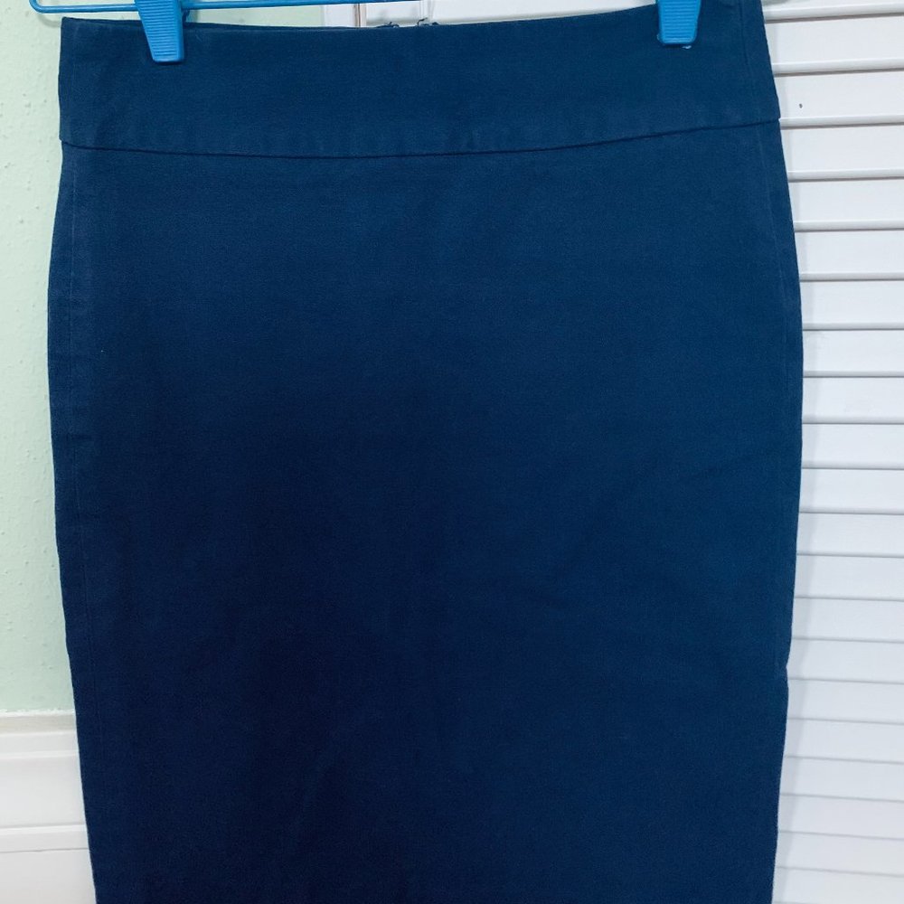 Banana Republic Blue Skirt Size 0